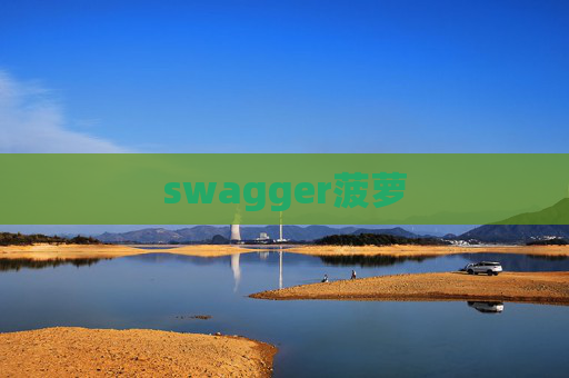 swagger菠萝 swagger菠萝